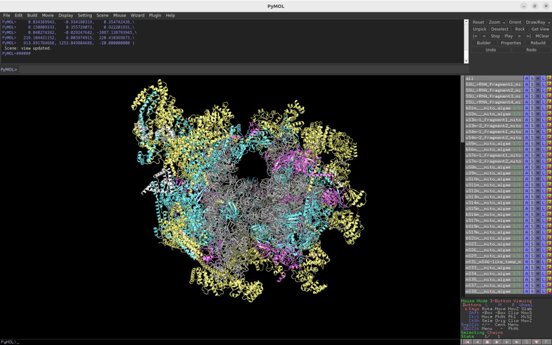 Screenshot of the Pymol session depicting the algae mitoribosome