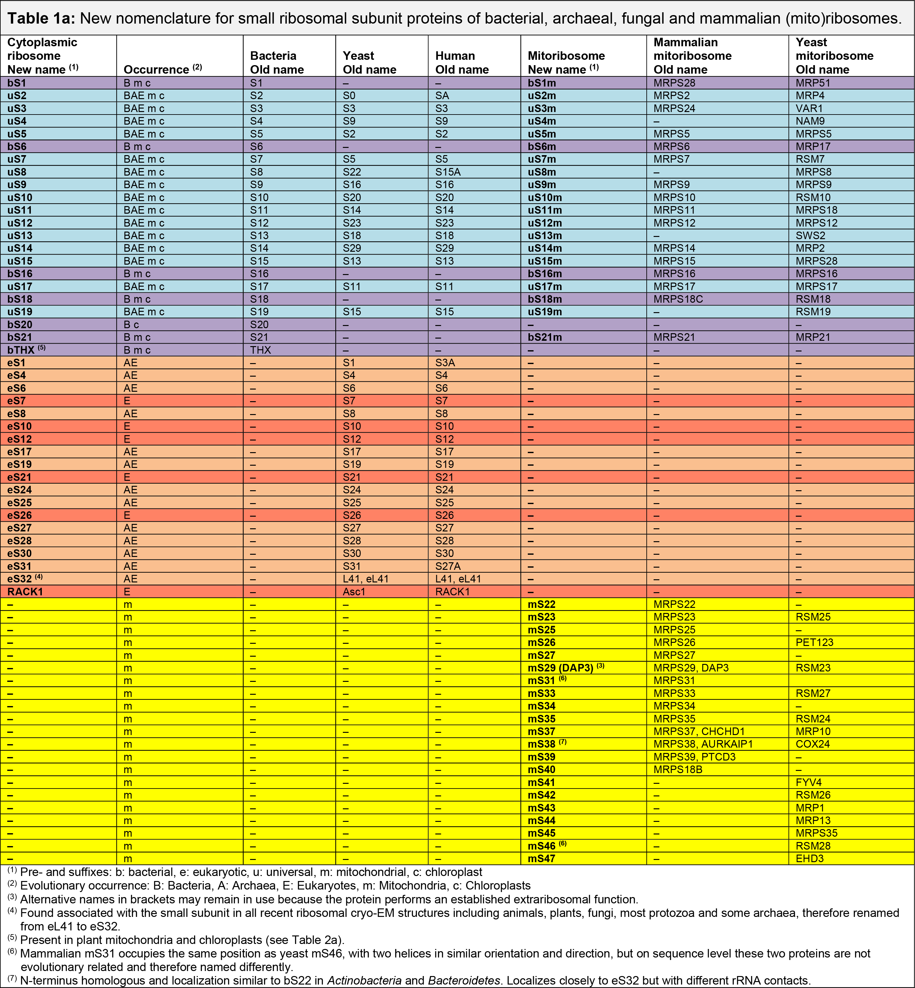 Nomenclature Of Ribosomal Proteins The Ban Lab Eth Zurich