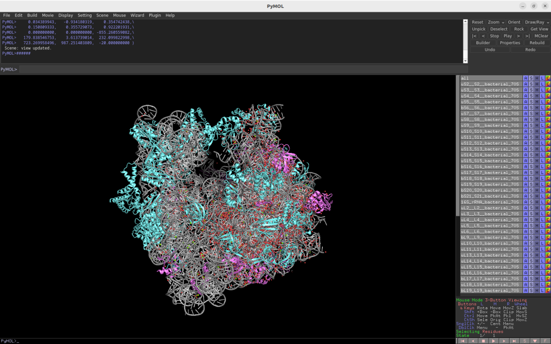 Screenshot of the Pymol session depicting the bacterial 70S ribosome