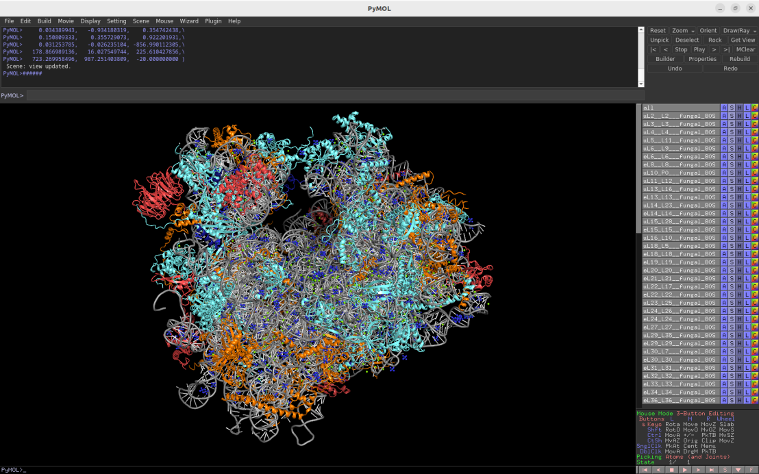 Enlarged view: Screenshot of the Pymol session depicting the fungal cytosolic 80S  