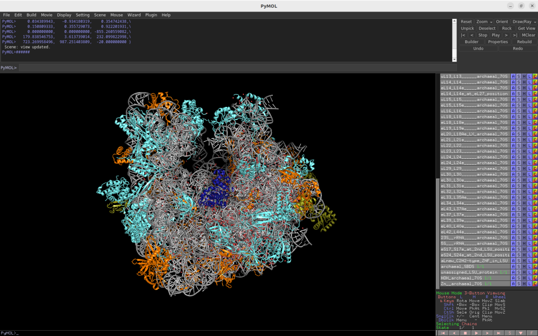 Screenshot of the Pymol session depicting the archaeal 70S ribosome